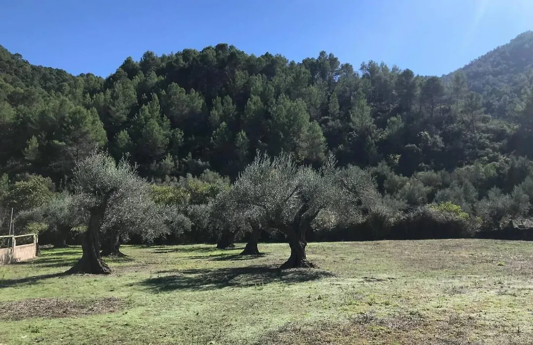 Paraíso Cuántico-1